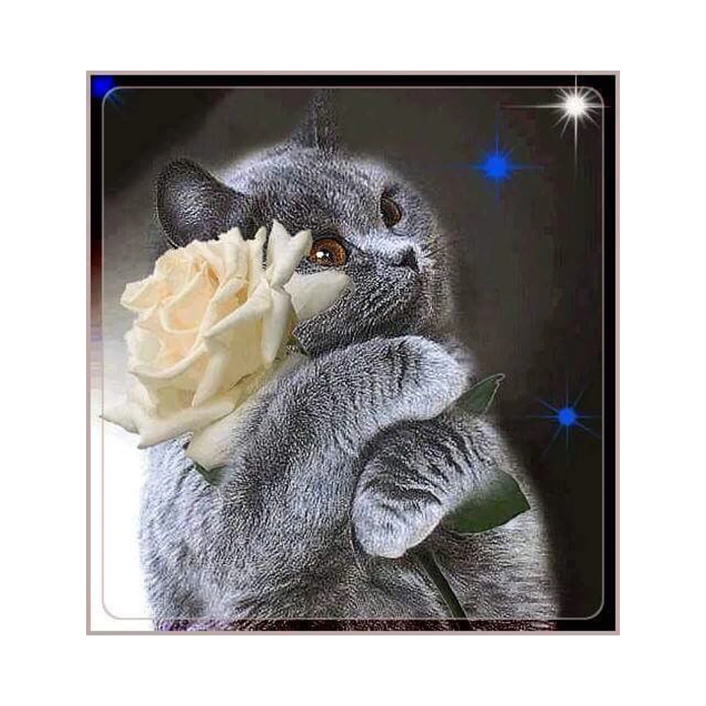 Cat and Rose 5D Diy Diamond Painting Full Square Mosaic Drill Resin Handmade Embroidery 3D Round Cross Stitch Kit Painting
Cat and Rose 5D Diy Diamond Painting Full Square Mosaic Drill Resin Handmade Embroidery 3D Round Cross Stitch Kit Painting