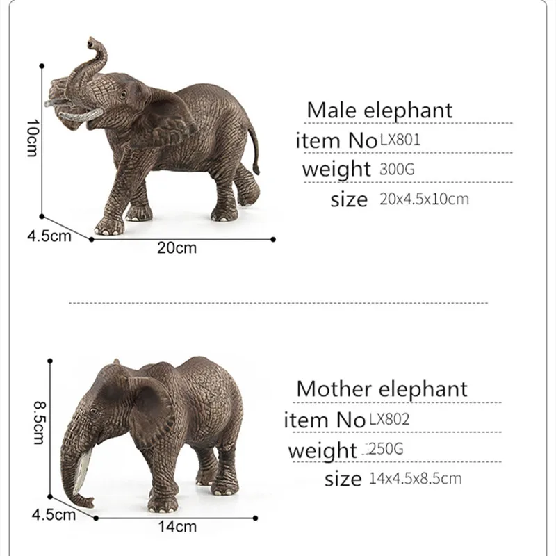 Wild Forest Zoo Simulation Elephant Family Three Elephant Early Education Animal Cognition Model Decoration Decoration Toy Gift
Wild Forest Zoo Simulation Elephant Family Three Elephant Early Education Animal Cognition Model Decoration Decoration Toy Gift