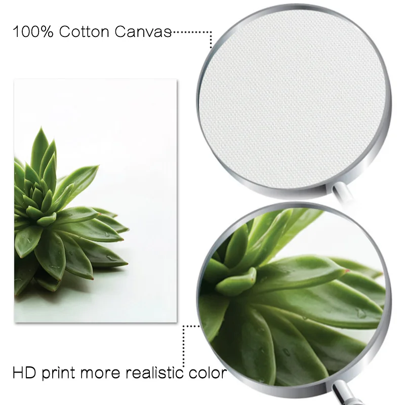 Green Plants Modern Simple Poster Print Succulent Wall Art Canvas Painting Nordic Positive Picture for Living Room Home Decor
Green Plants Modern Simple Poster Print Succulent Wall Art Canvas Painting Nordic Positive Picture for Living Room Home Decor