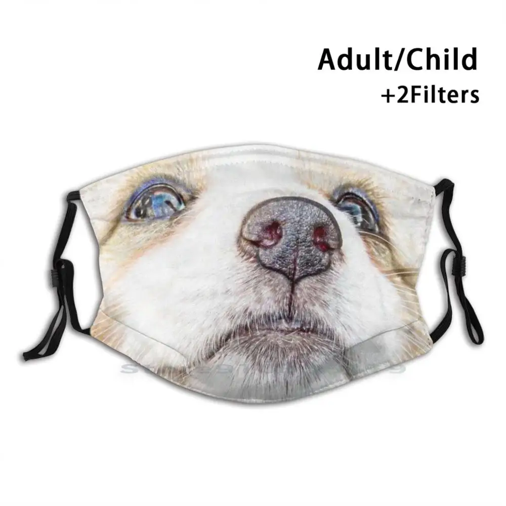 Corgi Photo Art Mask Mouth Print Reusable Mask Pm2.5 Filter Face Mask Kids Corgi Dog Puppy Animal Muzzle Face Whiskers Furry
Corgi Photo Art Mask Mouth Print Reusable Mask Pm2.5 Filter Face Mask Kids Corgi Dog Puppy Animal Muzzle Face Whiskers Furry