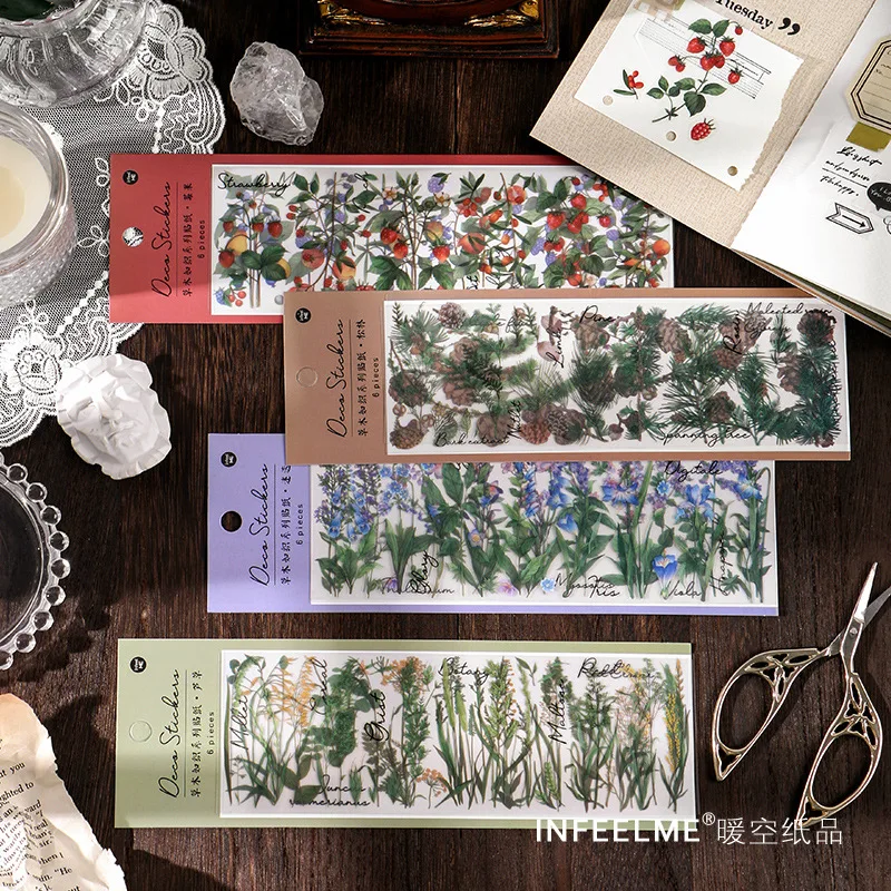 JIANWU 6 Sheets Plant Transparent PET Stickers Creative Retro Decoration Journal Scrapbooking Sticker Stationery School Supplies
JIANWU 6 Sheets Plant Transparent PET Stickers Creative Retro Decoration Journal Scrapbooking Sticker Stationery School Supplies