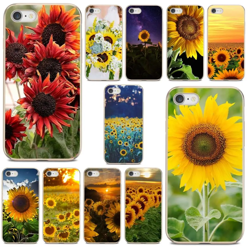 Yellow Sunflower Flowers Daisy Plants For iPhone 10 11 12 13 Mini Pro 4S 5S SE 5C 6 6S 7 8 X XR XS Plus Max 2020 Soft TPU Case 
Yellow Sunflower Flowers Daisy Plants For iPhone 10 11 12 13 Mini Pro 4S 5S SE 5C 6 6S 7 8 X XR XS Plus Max 2020 Soft TPU Case