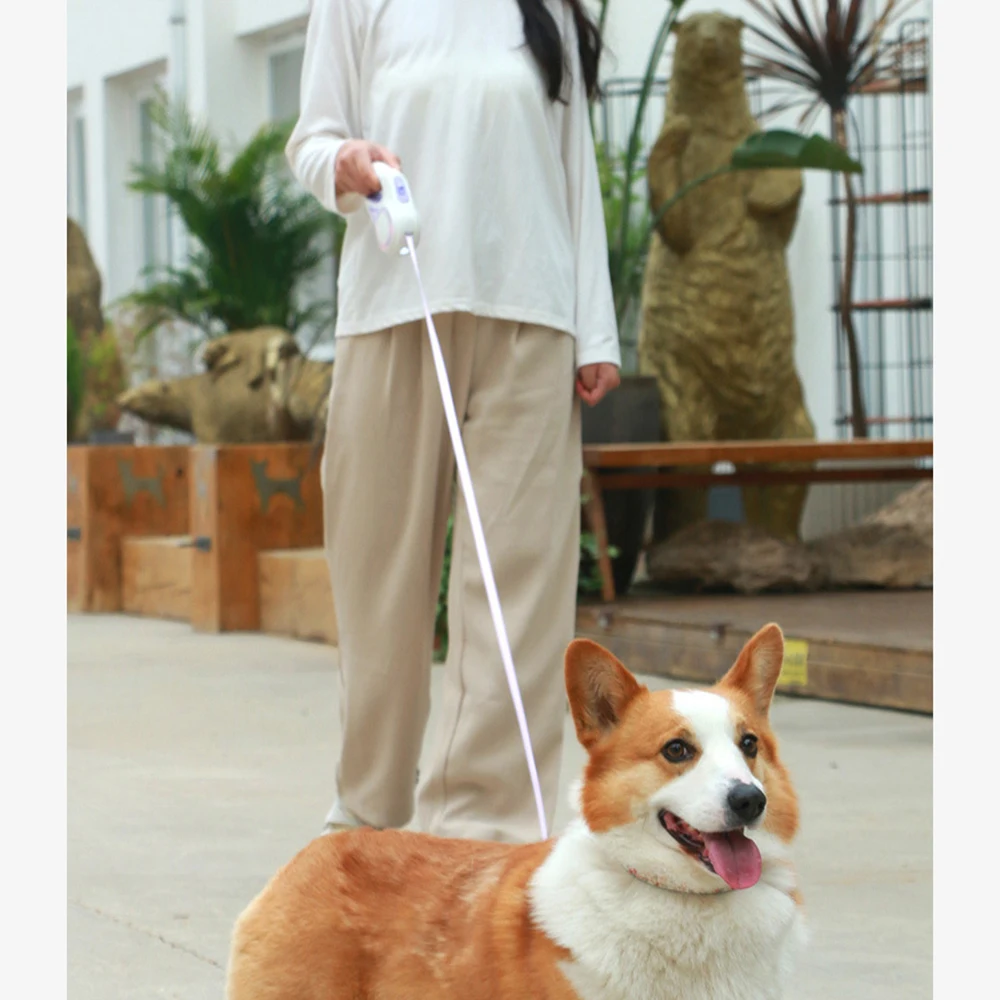 3/5 м автоматический выдвижной поводок для собак, кошек, щенков
3/5 м автоматический выдвижной поводок для собак, кошек, щенков