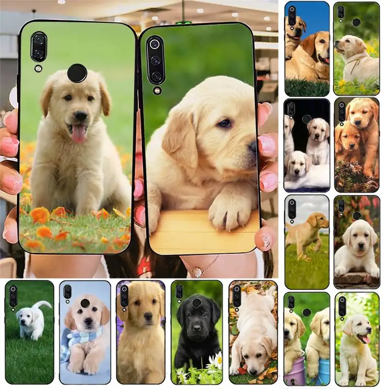 Labrador Puppies Dog Phone Case For Redmi note 8Pro 8T 6Pro 6A 9 Redmi 8 7 7A note 5 5A note 7 case
Labrador Puppies Dog Phone Case For Redmi note 8Pro 8T 6Pro 6A 9 Redmi 8 7 7A note 5 5A note 7 case