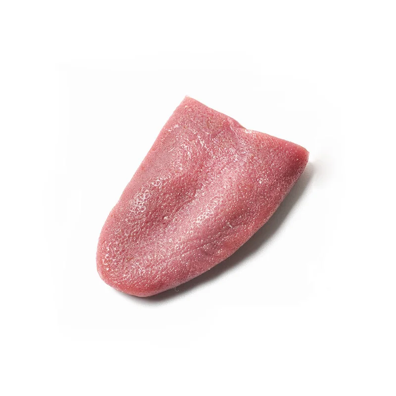 Halloween Horrible Tongue Magic Tricks Fake Tongue Realistic Close Up Street Party Gimmick Props Jokes Comedy Classic Toy
Halloween Horrible Tongue Magic Tricks Fake Tongue Realistic Close Up Street Party Gimmick Props Jokes Comedy Classic Toy