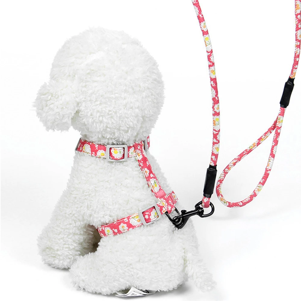 S/M 6 Colors Floral High Quality Nylon Dog Harnesses Prevent Rush Run Outdoor Walking Puppy Traction Rope Traction Rope Leash
S/M 6 Colors Floral High Quality Nylon Dog Harnesses Prevent Rush Run Outdoor Walking Puppy Traction Rope Traction Rope Leash