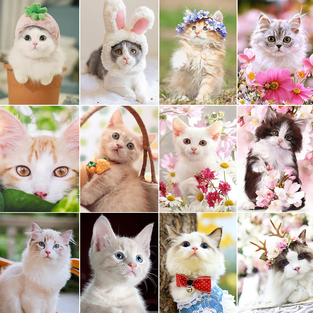 5D DIY Cute Cat Picture Diamond Painting Diamond Mosaic Cross Stitch Kit Full Brick Embroidery Home Decoration
5D DIY Cute Cat Picture Diamond Painting Diamond Mosaic Cross Stitch Kit Full Brick Embroidery Home Decoration