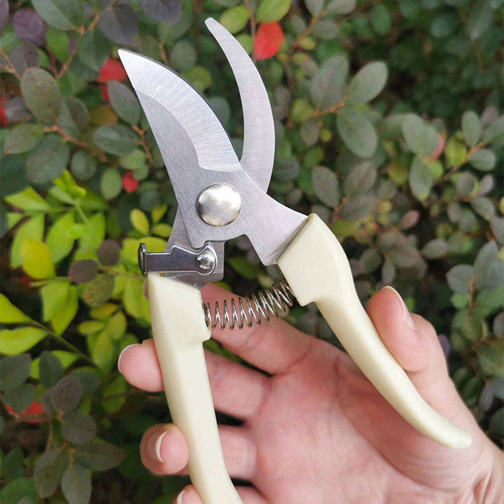 Pruner Orchard Garden Hand Tools Tree Bonsai Cutter Pruning Shear Scissor Stainless Steel Gardening Machine Chopper Professional
Pruner Orchard Garden Hand Tools Tree Bonsai Cutter Pruning Shear Scissor Stainless Steel Gardening Machine Chopper Professional