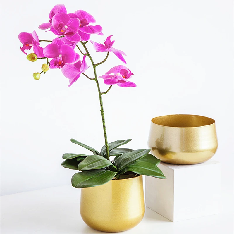 Planter Pot Trays Flower Pot Rack Bonsai Holder Garden Indoor Display Decorative Plant Stand Shelf
Planter Pot Trays Flower Pot Rack Bonsai Holder Garden Indoor Display Decorative Plant Stand Shelf