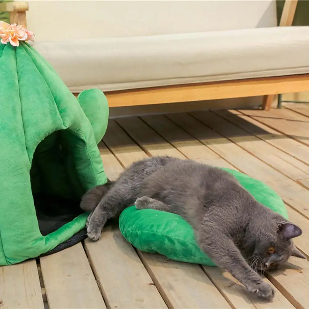 50x50x40cm Cactus Cat Cave Bed With Removable Cushion Pet Tent House Kitten Cave
50x50x40cm Cactus Cat Cave Bed With Removable Cushion Pet Tent House Kitten Cave