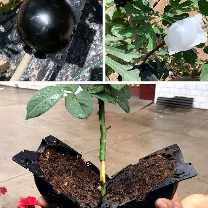 1/2/5pc Plant Rooting Grafting Rooting Growing Box Breeding Case for Garden Plant high-pressure propagation box Sapling
1/2/5pc Plant Rooting Grafting Rooting Growing Box Breeding Case for Garden Plant high-pressure propagation box Sapling