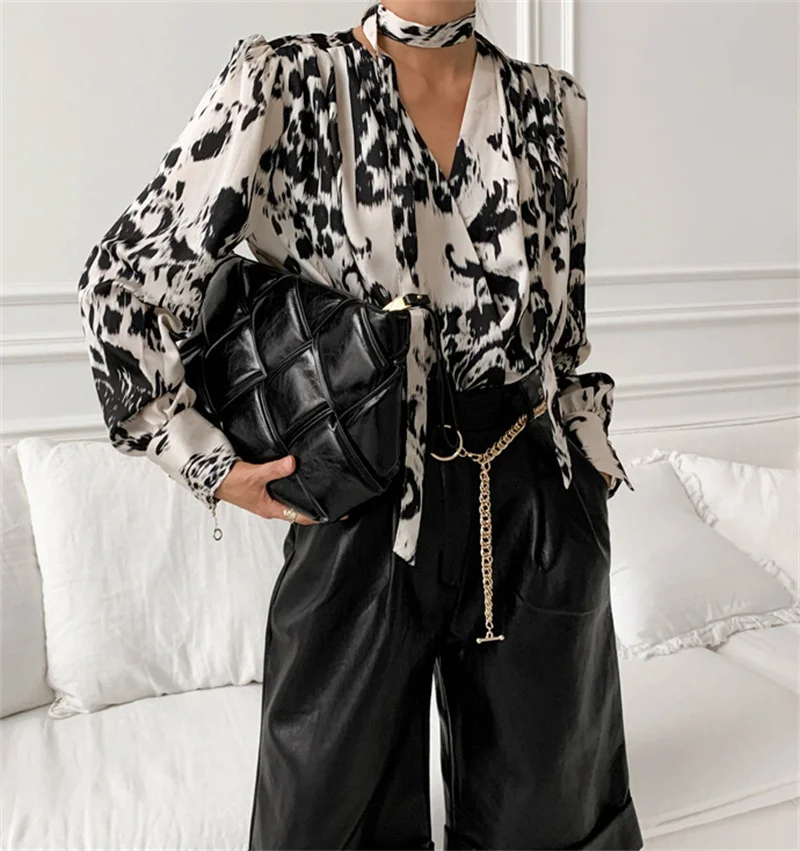 FANIECES Vintage Leopard Print V Neck Blouses Women Autumn Lantern Sleeve Single Breasted Loose Shirt Blusa Feminina Streetwear
FANIECES Vintage Leopard Print V Neck Blouses Women Autumn Lantern Sleeve Single Breasted Loose Shirt Blusa Feminina Streetwear