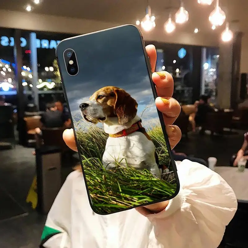 Beagle Dog animal case for airpods Phone Case for iPhone 11 12 pro XS MAX 8 7 6 6S Plus X 5S SE 2020 XR
Beagle Dog animal case for airpods Phone Case for iPhone 11 12 pro XS MAX 8 7 6 6S Plus X 5S SE 2020 XR