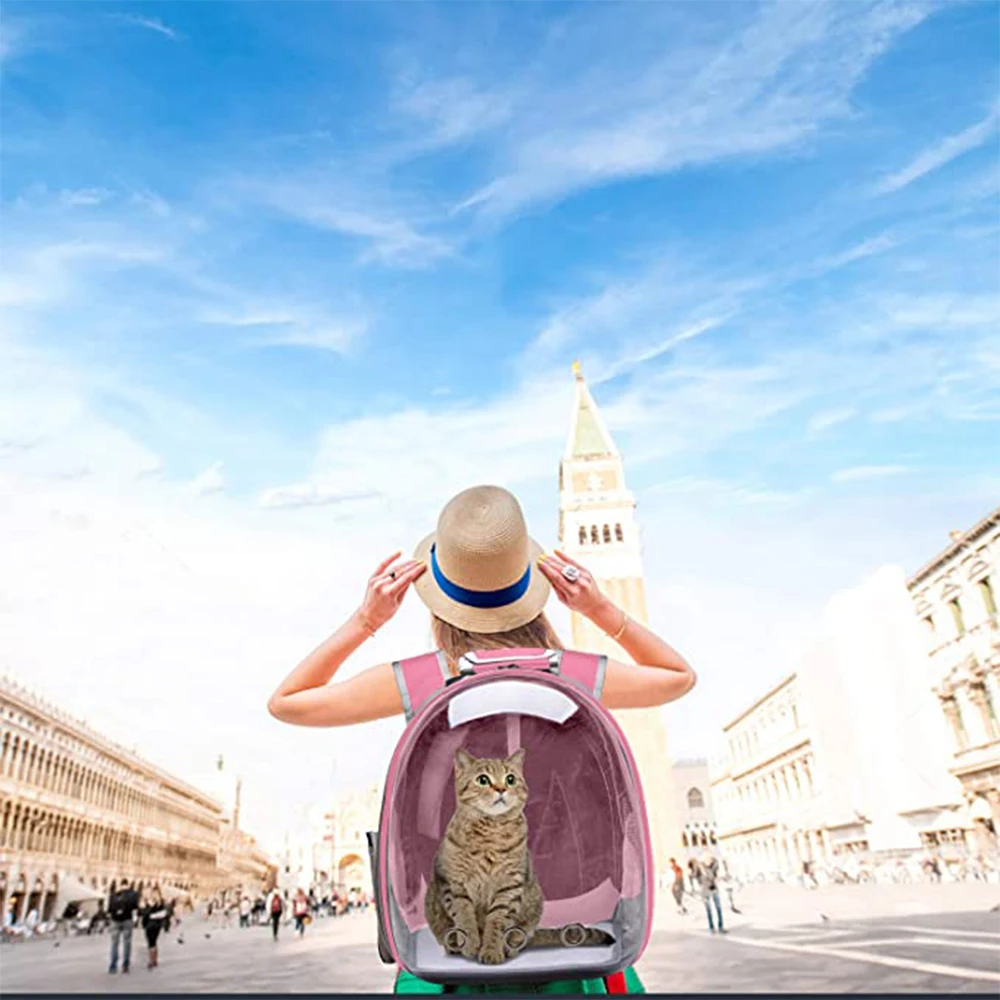 Cat Carrier Bag Breathable Cat Backpack Small Pet Carrier Bag Outdoor Travel Backpack Carrier for Cats Dogs Transparent Space
Cat Carrier Bag Breathable Cat Backpack Small Pet Carrier Bag Outdoor Travel Backpack Carrier for Cats Dogs Transparent Space