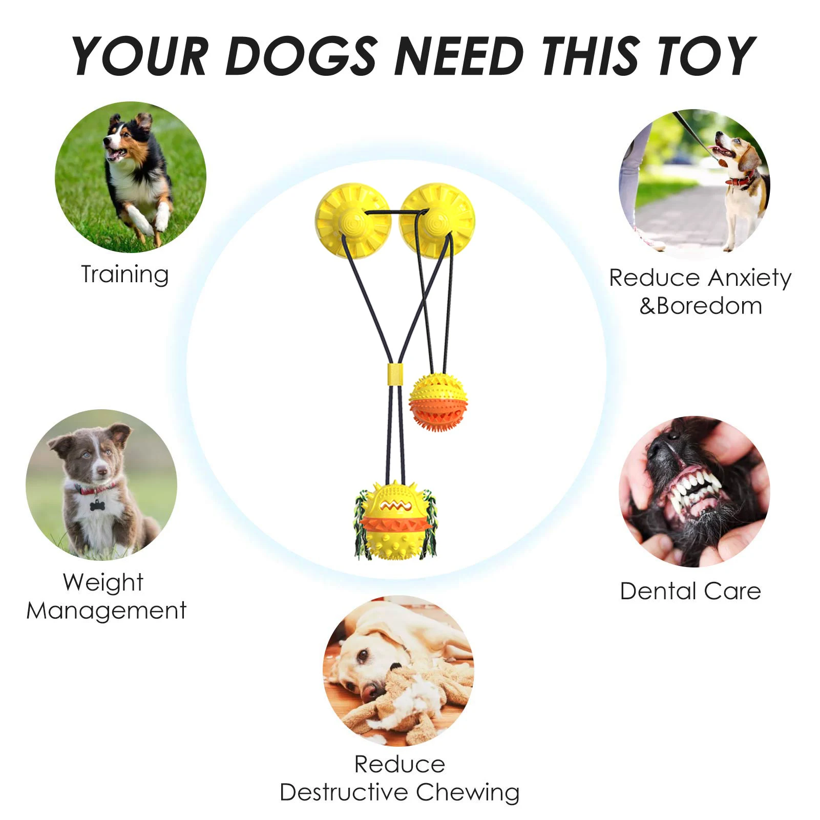 Dog Interactive Suction Cup Push Dog Chew Toys Indestructible Dog Tug Toy Ropes Dog Tooth Cleaning Chewing Pet Puppy Supplies
Dog Interactive Suction Cup Push Dog Chew Toys Indestructible Dog Tug Toy Ropes Dog Tooth Cleaning Chewing Pet Puppy Supplies