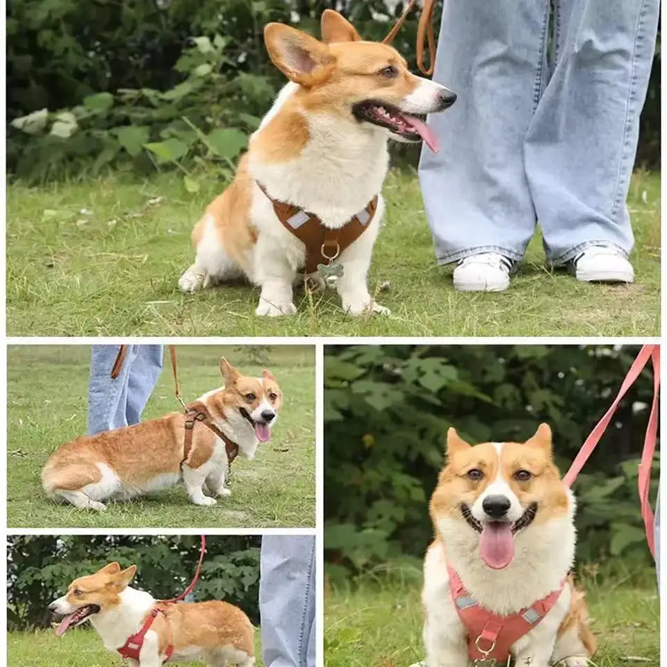 2021 New Reflective Dog Strap Harness Pet Traction Rope Small and Medium Sized Pet Chest Strap Chest Vest Leash Pet Products
2021 New Reflective Dog Strap Harness Pet Traction Rope Small and Medium Sized Pet Chest Strap Chest Vest Leash Pet Products