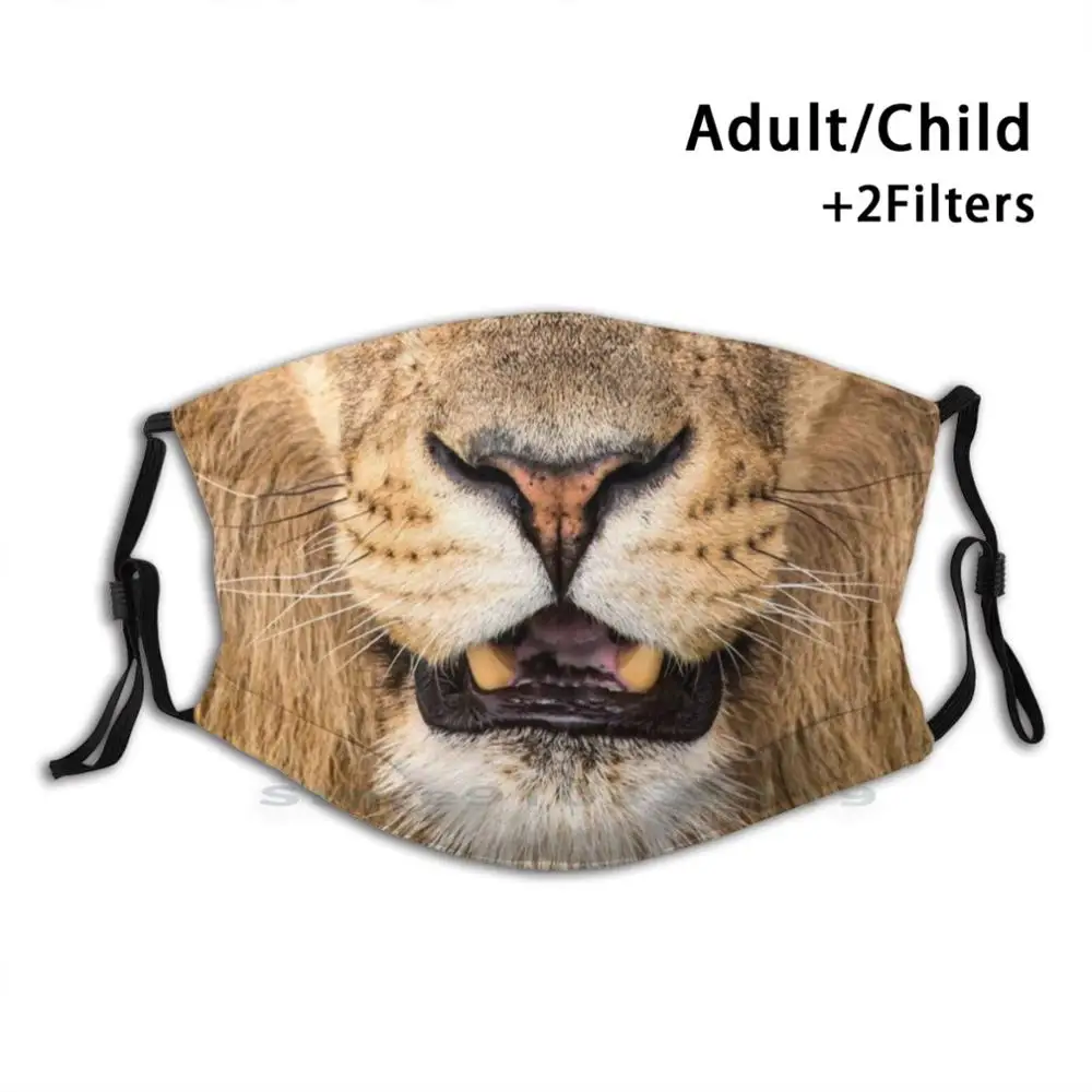 Lion Face Mouth Design Anti Dust Filter Washable Face Mask Kids Lion Face Big Cats Safari Jungle Africa Wild Cat King
Lion Face Mouth Design Anti Dust Filter Washable Face Mask Kids Lion Face Big Cats Safari Jungle Africa Wild Cat King