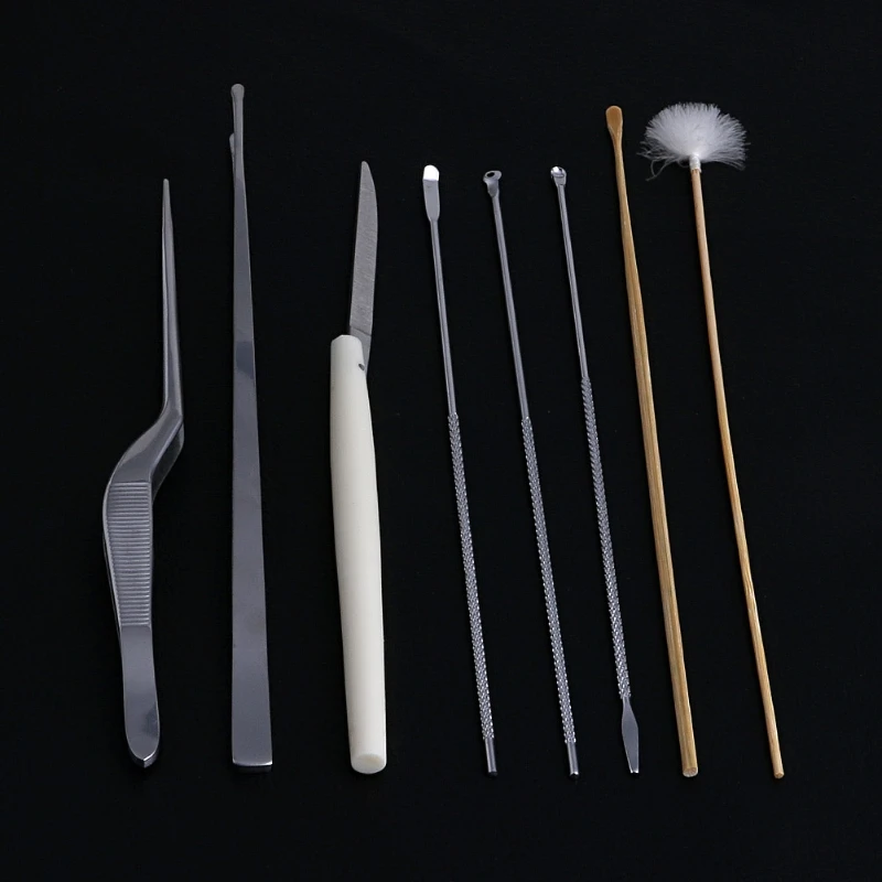 1Set 8Pcs Health Care Tool Ear Pick Cleaning Ear Wax Remover Cleaner Curette Kit
1Set 8Pcs Health Care Tool Ear Pick Cleaning Ear Wax Remover Cleaner Curette Kit