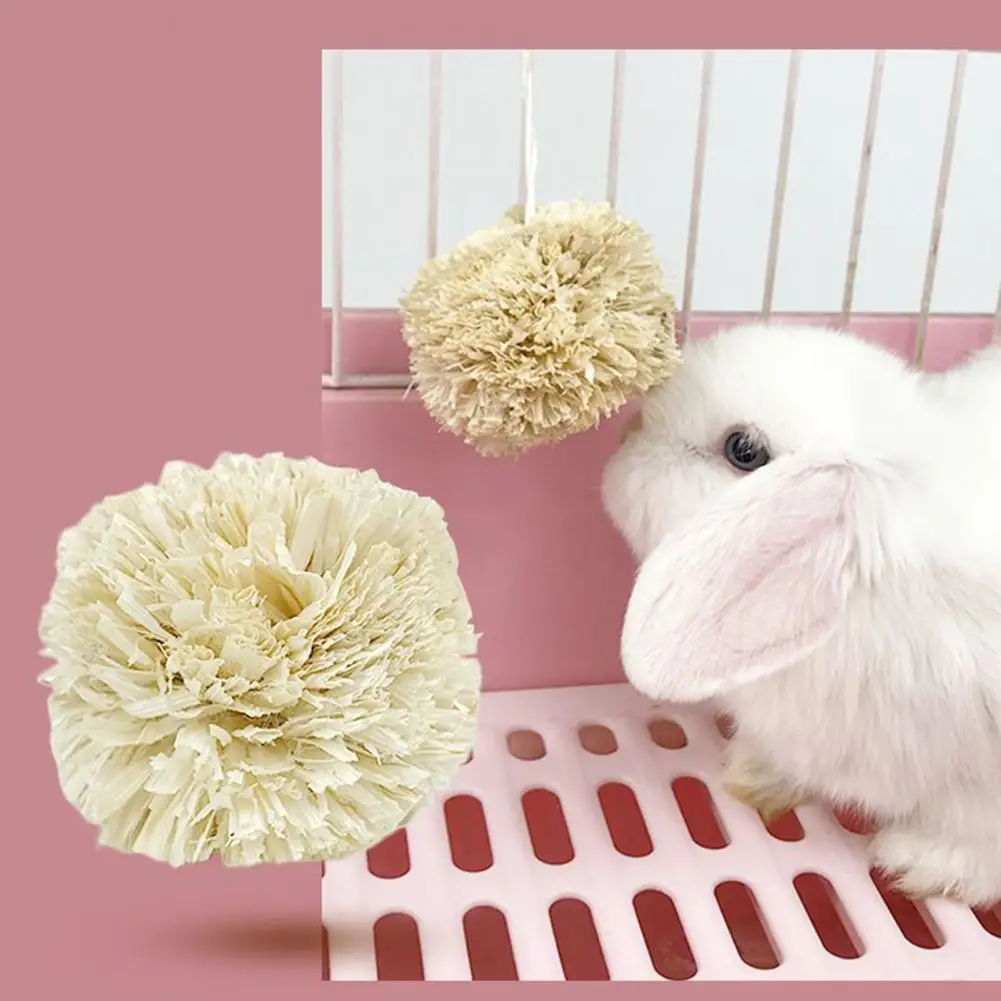 Pet Snack 13Pcs Safe Small Pets Chewing Snack Toy Playing Toy Rabbit Chew Toys Rich Fiber Small Animal Toys
Pet Snack 13Pcs Safe Small Pets Chewing Snack Toy Playing Toy Rabbit Chew Toys Rich Fiber Small Animal Toys