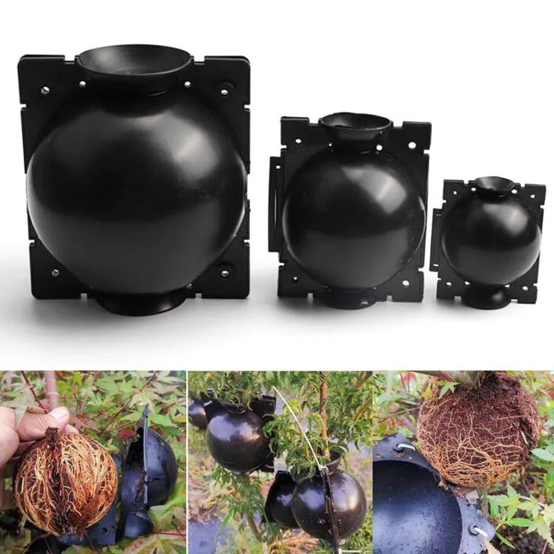 5/8/12cm Plant Rooting Ball Case Fruit Tree Root Box Planter Cases Grafting Rooting Growing Breeding For Garden Tools Supplies U
5/8/12cm Plant Rooting Ball Case Fruit Tree Root Box Planter Cases Grafting Rooting Growing Breeding For Garden Tools Supplies U