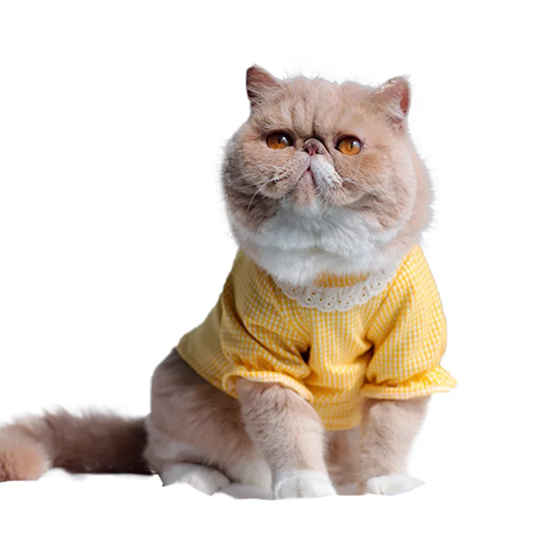 Pet Clothes Spring and Summer Thin Kitten Puppy Garfield Pomeranian Maltese Home Cute Two-legged Clothes
Pet Clothes Spring and Summer Thin Kitten Puppy Garfield Pomeranian Maltese Home Cute Two-legged Clothes