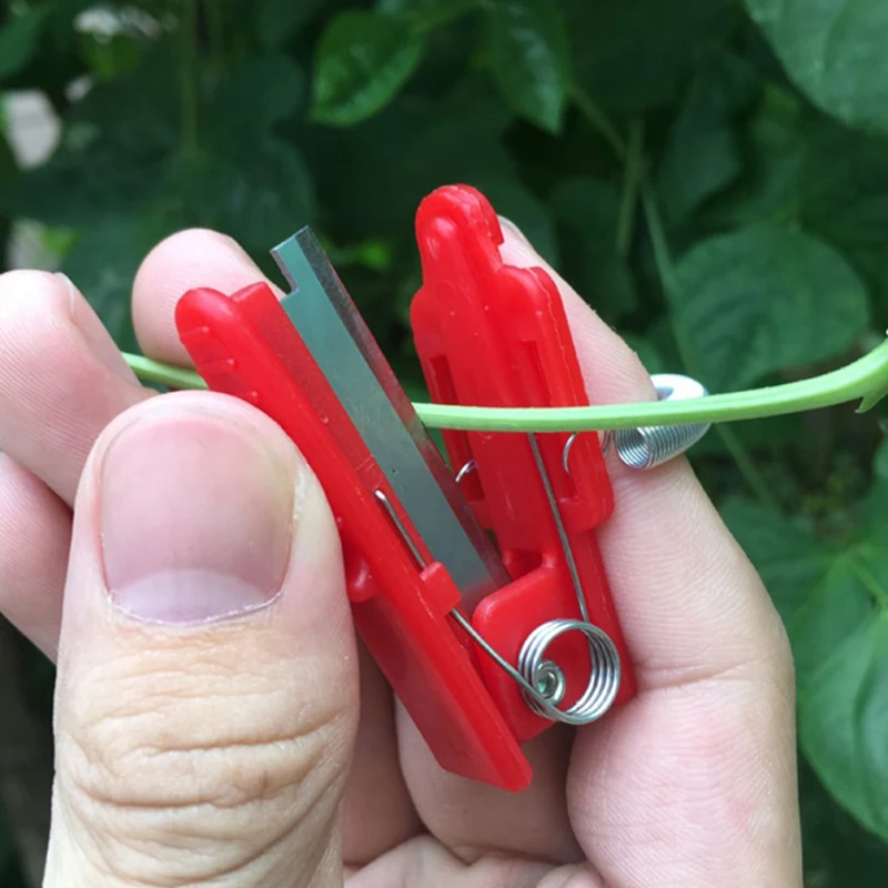 2PCS Vegetable Thump Knife Separator Vegetable Fruit Harvesting Picking Tool
2PCS Vegetable Thump Knife Separator Vegetable Fruit Harvesting Picking Tool