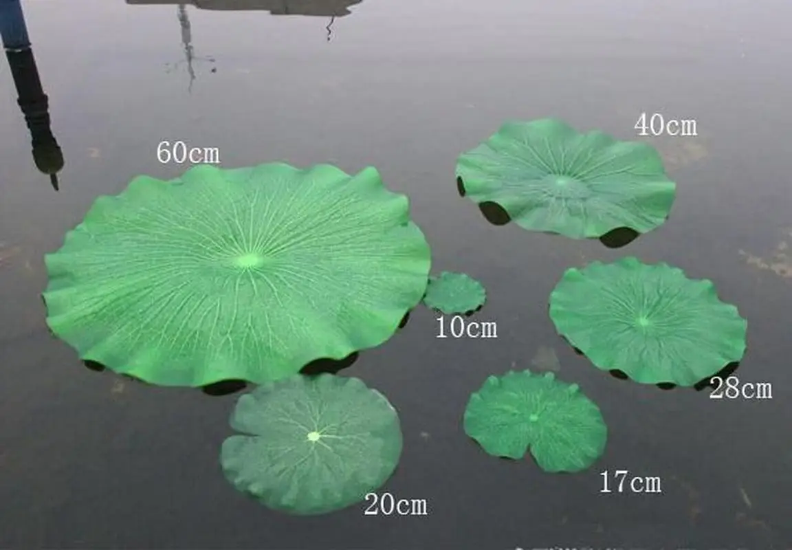 Popular New Novelty Green Artificial Lotus Flower For pool Home Pond Fish Tank Lotus Leaves Leaf Decor Party garden Decorations
Popular New Novelty Green Artificial Lotus Flower For pool Home Pond Fish Tank Lotus Leaves Leaf Decor Party garden Decorations