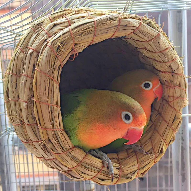 Straw Bird Nest Natural Handmade Pigeon House Parrot Nest Warm Pet Bedroom Home Decoration Accessories Bird Cages Bird Supplies
Straw Bird Nest Natural Handmade Pigeon House Parrot Nest Warm Pet Bedroom Home Decoration Accessories Bird Cages Bird Supplies
