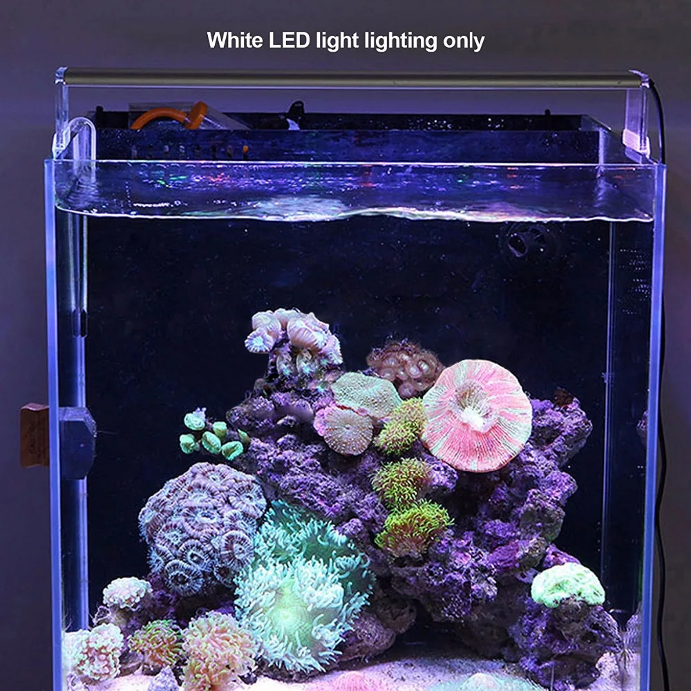 Светодиодсветильник лампа для аквариума, 110-240 В
Светодиодсветильник лампа для аквариума, 110-240 В