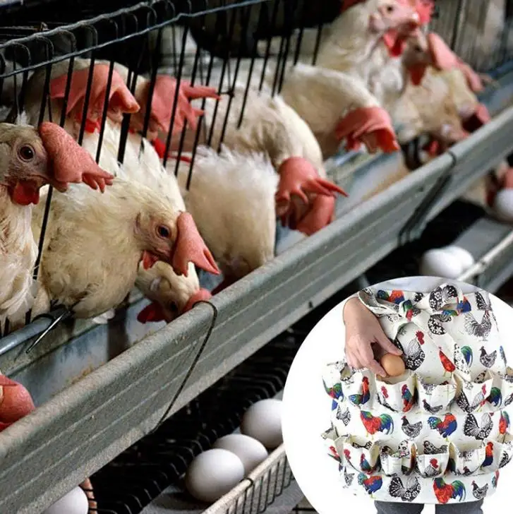 Egg collecting apron Farmhouse Kitchen Home Fun Waist Egg Aprons Antifouling Cotton 12 Pockets Chicken Print aduls child kids
Egg collecting apron Farmhouse Kitchen Home Fun Waist Egg Aprons Antifouling Cotton 12 Pockets Chicken Print aduls child kids