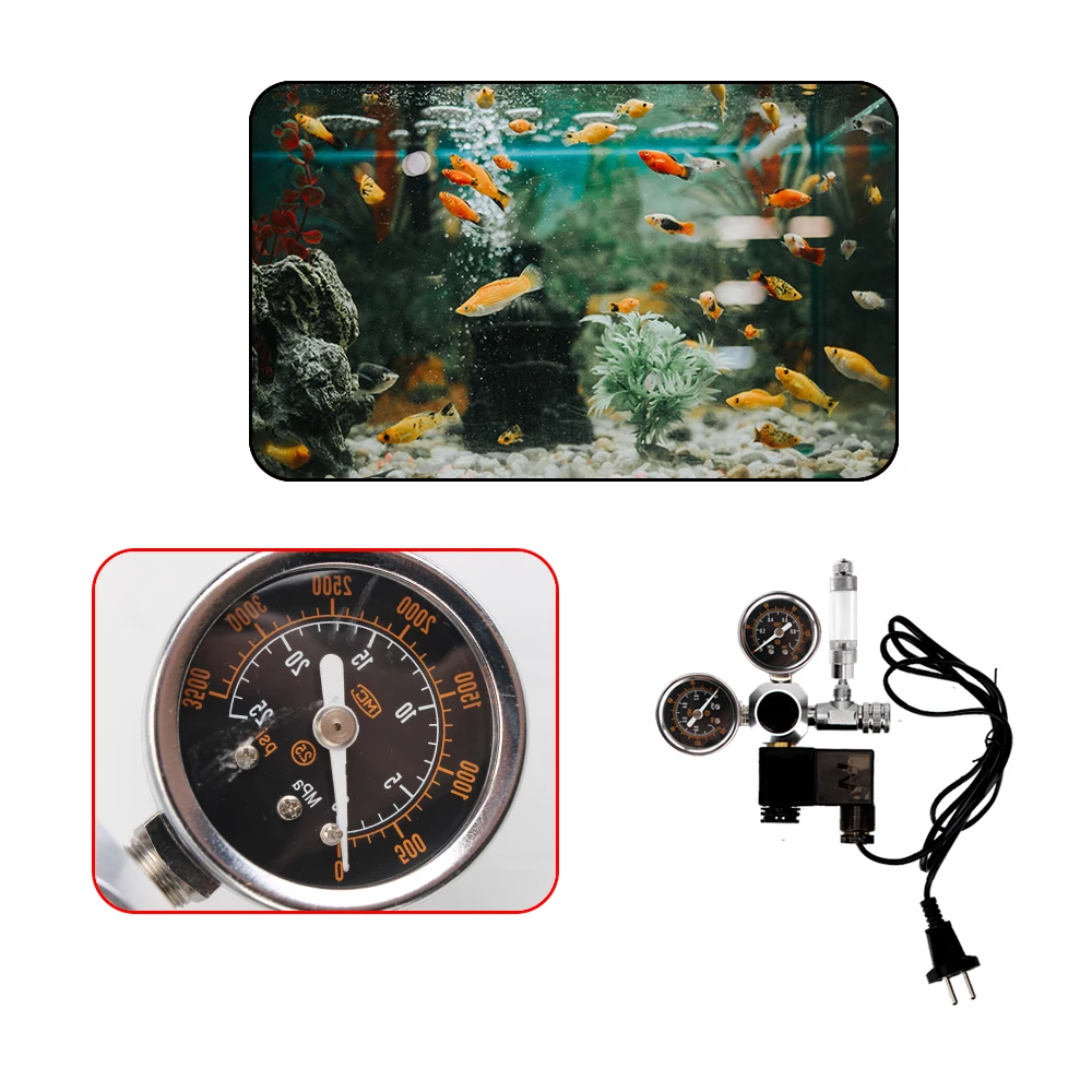 With Check Valve Bubble Counter CO2 Pressure-reducing Valve Magnetic Solenoid Kit CO2 Control System Aquarium CO2 Regulator
With Check Valve Bubble Counter CO2 Pressure-reducing Valve Magnetic Solenoid Kit CO2 Control System Aquarium CO2 Regulator