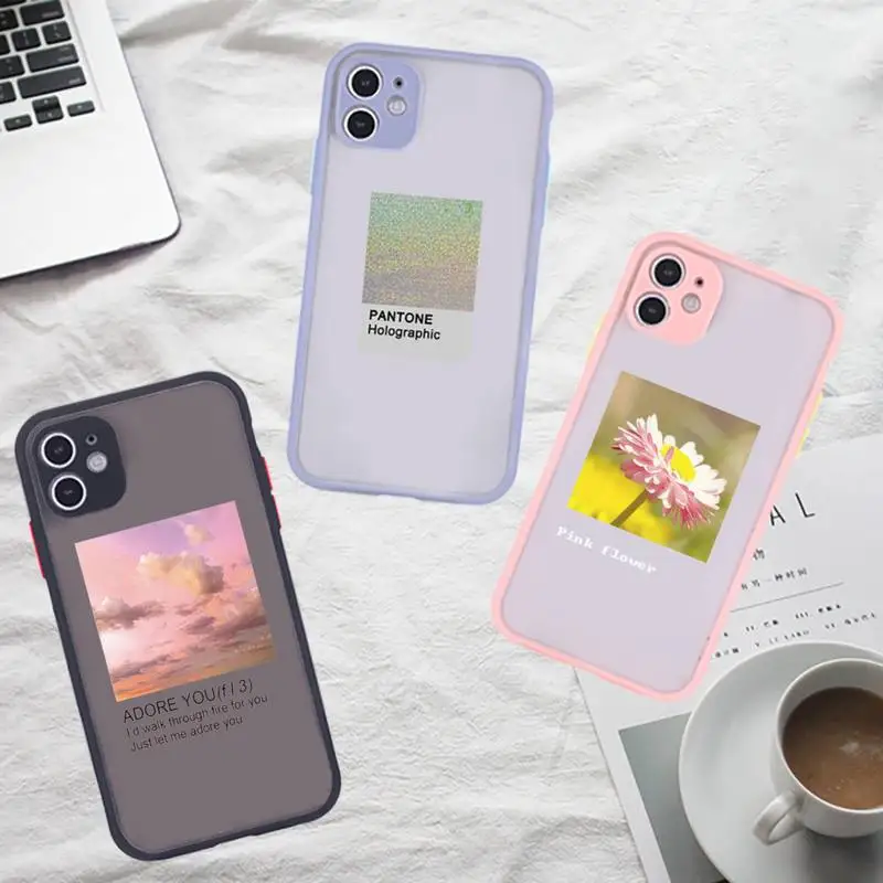 Flower Summer Pink Phone Case For iPhone 12 11 Mini Pro XR XS Max 7 8 Plus X Matte transparent Gray Back Cover
Flower Summer Pink Phone Case For iPhone 12 11 Mini Pro XR XS Max 7 8 Plus X Matte transparent Gray Back Cover