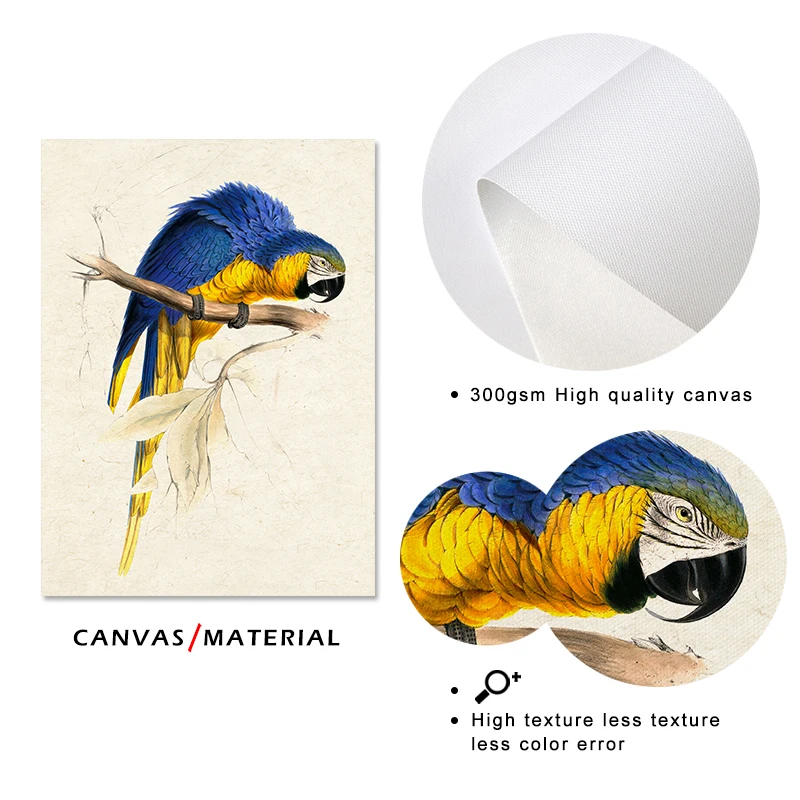 Parrot beautiful ink plant posters prints canvas paintings wall art for living room decor for bedroom aesthetic Artwork
Parrot beautiful ink plant posters prints canvas paintings wall art for living room decor for bedroom aesthetic Artwork