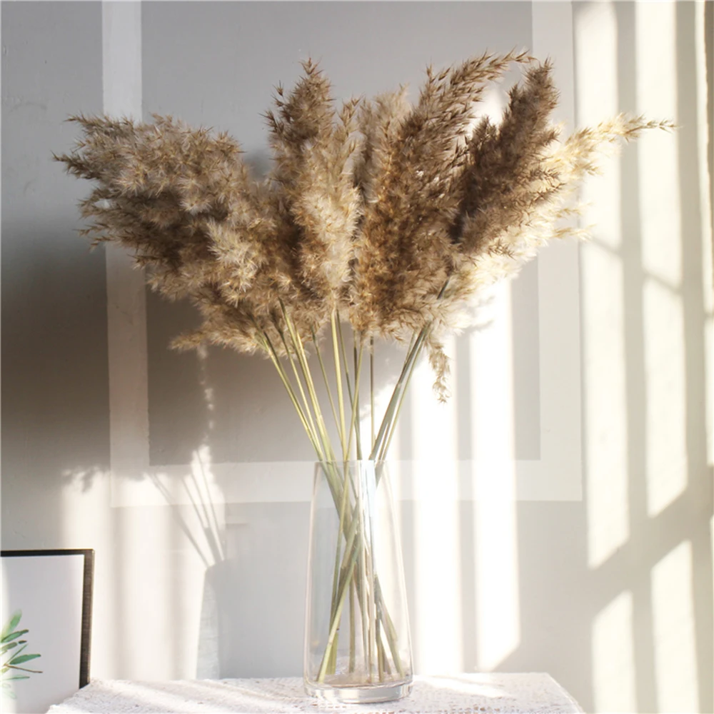 Light color wedding flowers bunch natural dried pampas grass flower beautiful reed christmas home wedding decoration phragmites
Light color wedding flowers bunch natural dried pampas grass flower beautiful reed christmas home wedding decoration phragmites