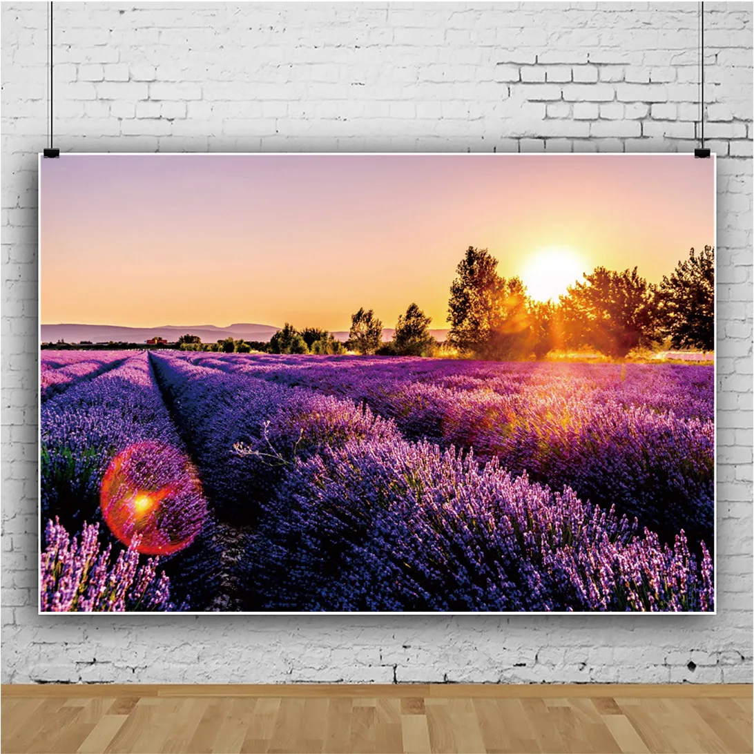

Фон для студийной фотосъемки с изображением заката моря фиолетовых цветов лаванды