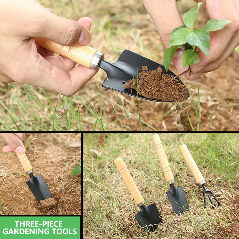 3pcs Mini Portable Gardening Tool Metal Head Shovel Rake Plant Garden Soil Raising Flowers Wooden Handle Gardening Tool Set
3pcs Mini Portable Gardening Tool Metal Head Shovel Rake Plant Garden Soil Raising Flowers Wooden Handle Gardening Tool Set