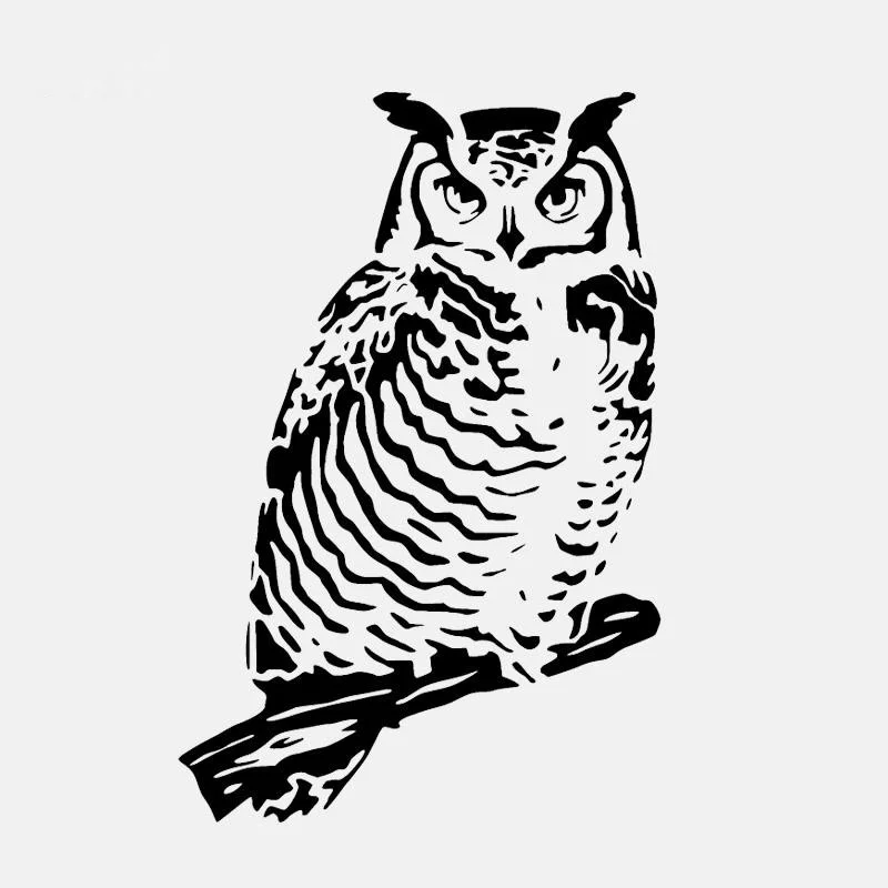 Car Sticker Motorcycle Bumper Trunk Laptop Window Decals Vinyl Car Styling Decoration 15cmx10cm Funny owl
Car Sticker Motorcycle Bumper Trunk Laptop Window Decals Vinyl Car Styling Decoration 15cmx10cm Funny owl
