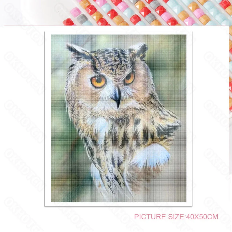 Diy Diamond Painting Silly Owl Oil Painting Square Diamond Round Diamond Embroidery Mosaic Rhinestone Decorative Painting
Diy Diamond Painting Silly Owl Oil Painting Square Diamond Round Diamond Embroidery Mosaic Rhinestone Decorative Painting