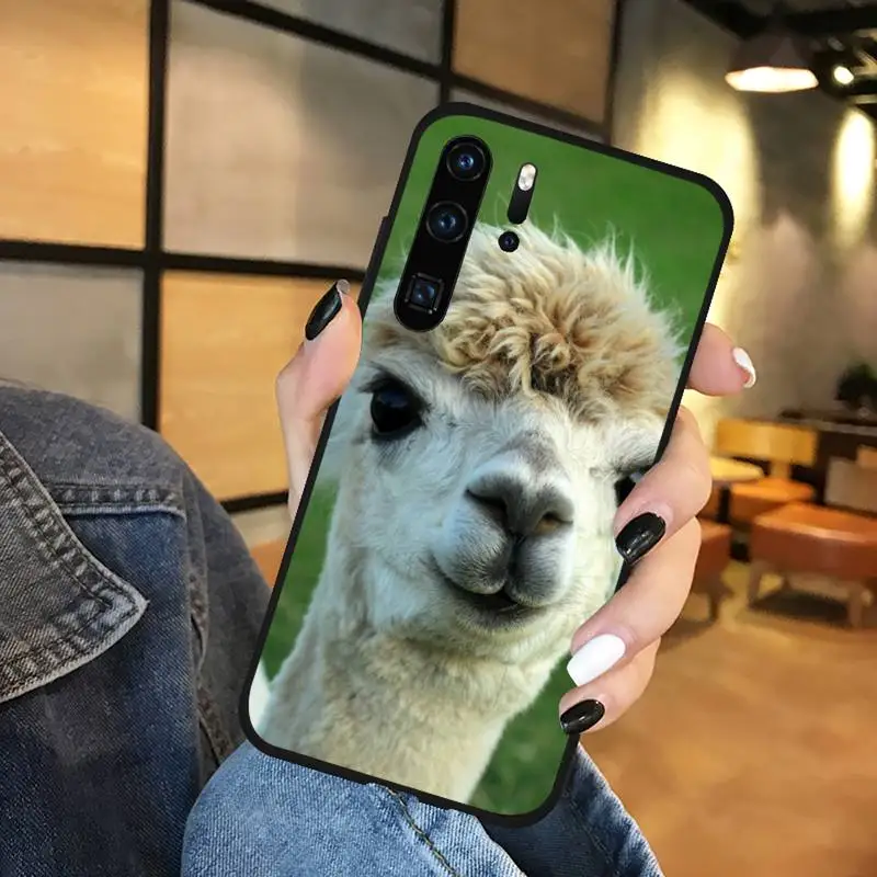 Lama Llama Alpacas Animal Phone Case Funda For Huawei P9 P10 P20 P30 Lite 2016 2017 2019 plus pro P smart
Lama Llama Alpacas Animal Phone Case Funda For Huawei P9 P10 P20 P30 Lite 2016 2017 2019 plus pro P smart