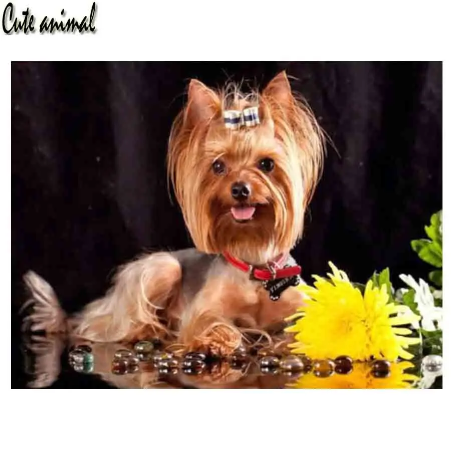 Алмазная картина 5D «сделай сам», вышивка квадратными стразами с изображением йоркширских терьеров, собак, домашних животных, Набор для выши...
Алмазная картина 5D «сделай сам», вышивка квадратными стразами с изображением йоркширских терьеров, собак, домашних животных, Набор для выши...