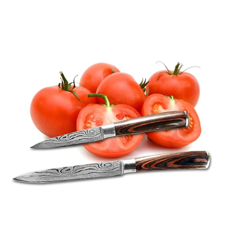 Kitchen Knife 6Pcs 7CR17 440C High Carbon Stainless Steel Damascus Drawing 8 inch Chef Knives Cleaver Set Slicer Santoku Knives
Kitchen Knife 6Pcs 7CR17 440C High Carbon Stainless Steel Damascus Drawing 8 inch Chef Knives Cleaver Set Slicer Santoku Knives
