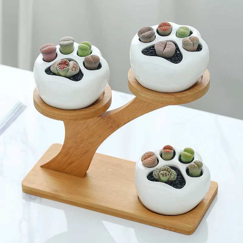 Simple White Cat Claw Flowerpot Creative Cute Kitten Claw Fleshy Plant Ceramic Treetop Bamboo Frame Combination Potted Plant
Simple White Cat Claw Flowerpot Creative Cute Kitten Claw Fleshy Plant Ceramic Treetop Bamboo Frame Combination Potted Plant