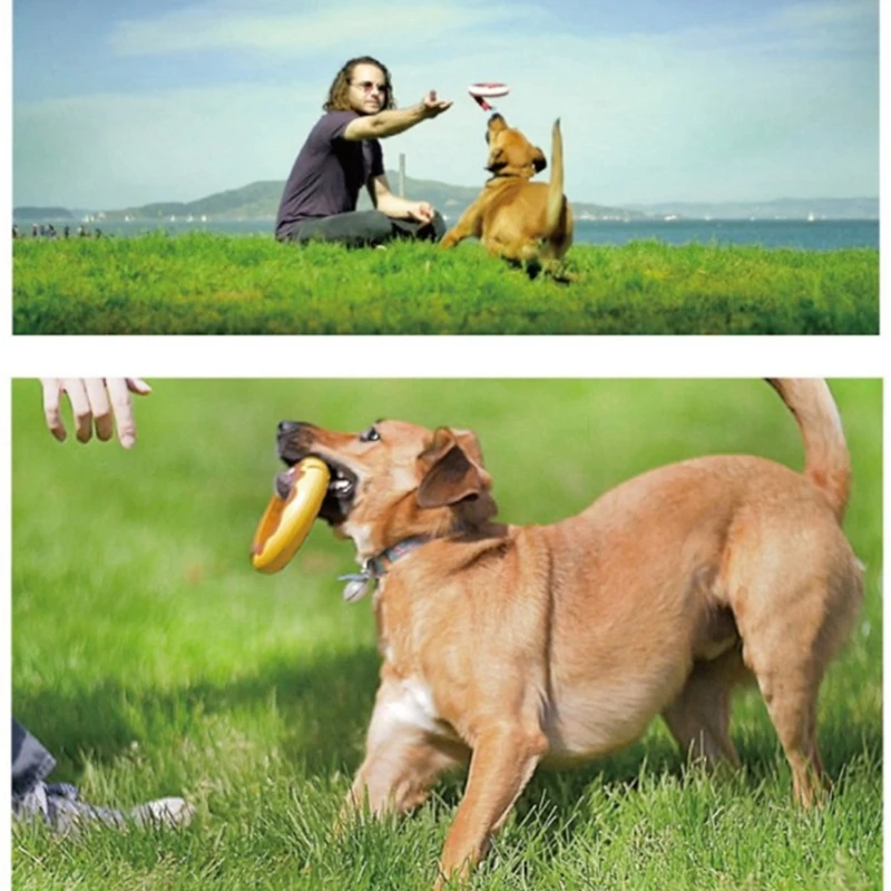 2021New Dog Leads Leash Retractable Doughnut Shaped Holder Dog Walking Nylon Leash For Pet dog leads pet leashes
2021New Dog Leads Leash Retractable Doughnut Shaped Holder Dog Walking Nylon Leash For Pet dog leads pet leashes