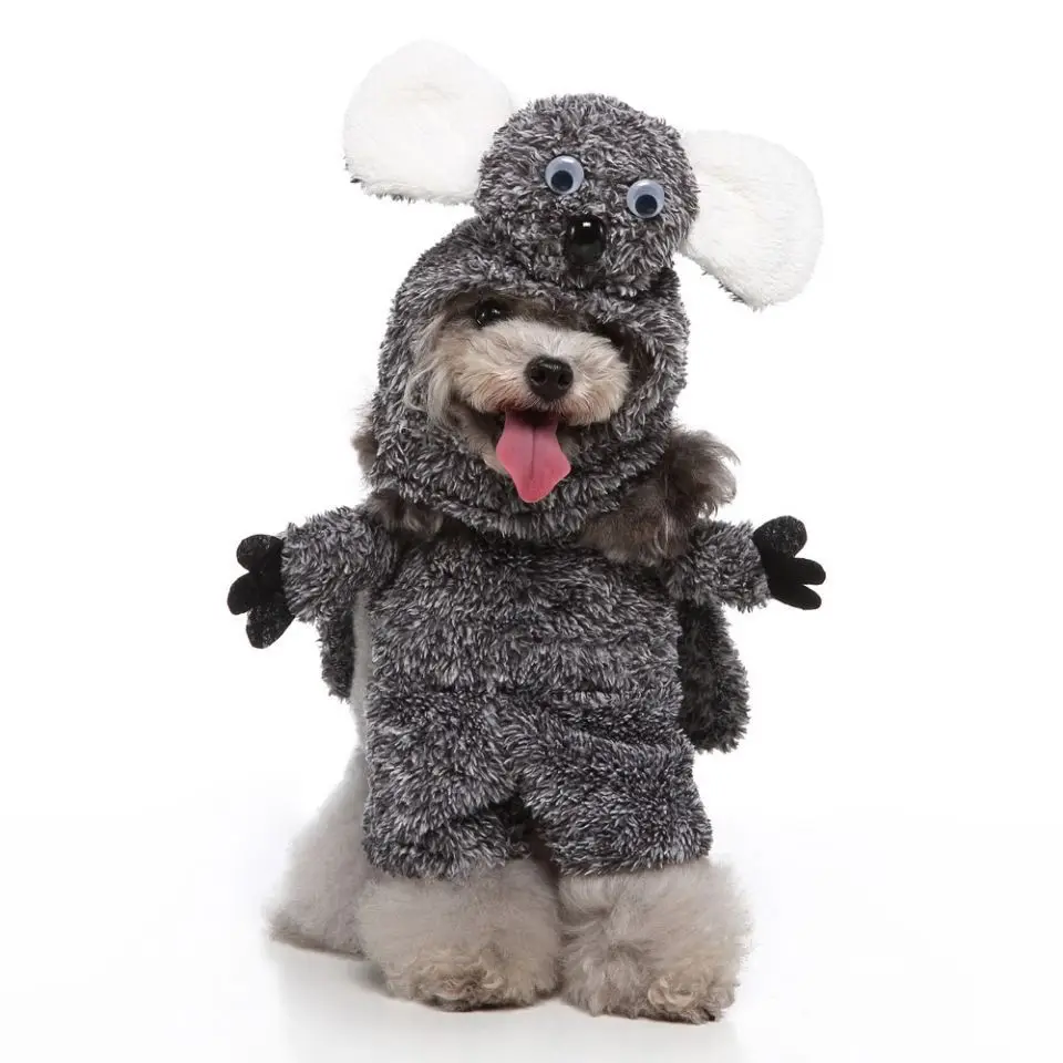 Cosplay pet products loading wacky dog clothes stand upright with all saints Christmas holiday dress up pet
Cosplay pet products loading wacky dog clothes stand upright with all saints Christmas holiday dress up pet