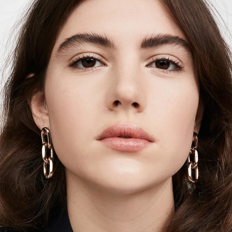 Vintage Punk Style Metal Chain Earrings, Fine Jewelry, Shiny Gold, Korean Popular Jewelry. Wholesale
Vintage Punk Style Metal Chain Earrings, Fine Jewelry, Shiny Gold, Korean Popular Jewelry. Wholesale
