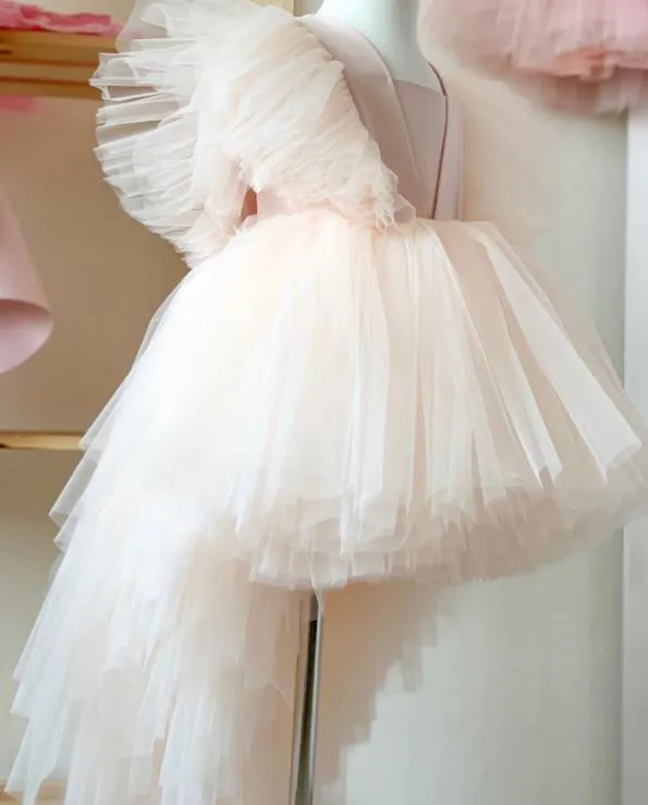 Puffy Tulle Baby Girls Dress Children Kids Dresses for Girls Birthday Party Dress Christmas Vestido Wear
Puffy Tulle Baby Girls Dress Children Kids Dresses for Girls Birthday Party Dress Christmas Vestido Wear