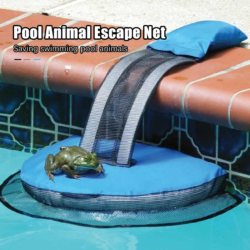 Frog And Duck Escape Net Swimming Pool Small Animal Escape Net Ourdoor Swimming Pool Accessories
Frog And Duck Escape Net Swimming Pool Small Animal Escape Net Ourdoor Swimming Pool Accessories