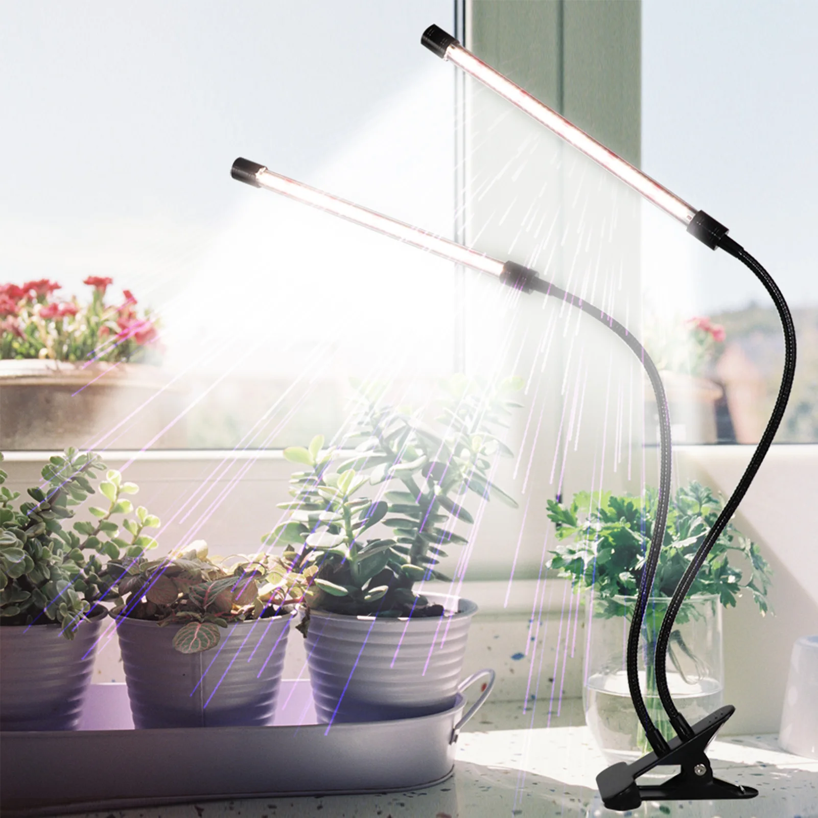 Растут светильник для растений светодиодный Grow светильник завода светать светильник 40 Вт с зажимом Яркость регулируемый 4/8/12H ГРМ
Растут светильник для растений светодиодный Grow светильник завода светать светильник 40 Вт с зажимом Яркость регулируемый 4/8/12H ГРМ