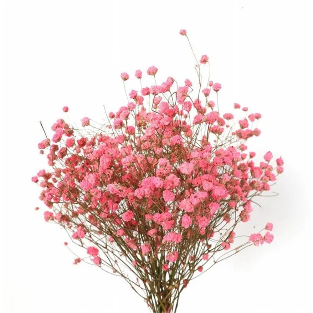 New Top Fashion 120G Wedding Baby Breath Flower Bunch Christmas Valentine's Day Gift Decor Touch Bouquet
New Top Fashion 120G Wedding Baby Breath Flower Bunch Christmas Valentine's Day Gift Decor Touch Bouquet