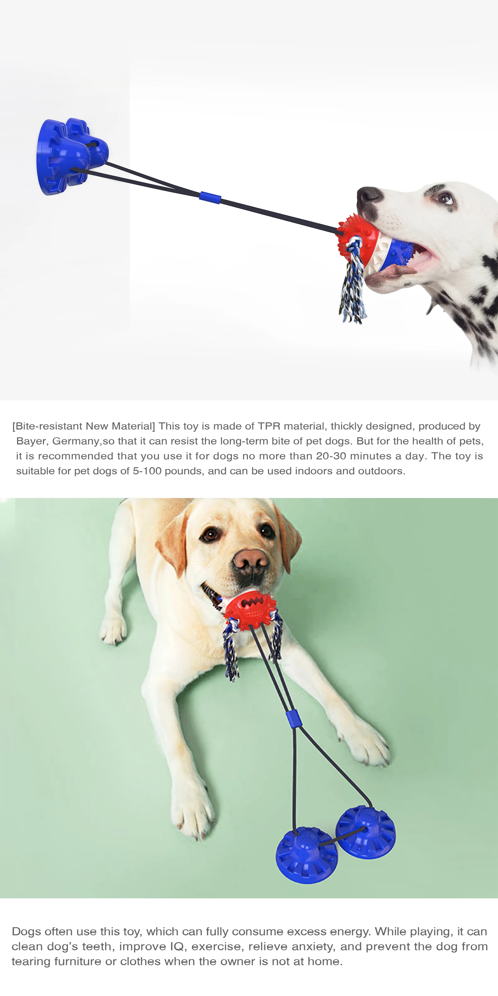 suction cup tug dog toy with Suction Cup Push Elastic Ropes Pet Tooth Cleaning Chewing Playing IQ Treat Puppy Cats Toys 4.7
suction cup tug dog toy with Suction Cup Push Elastic Ropes Pet Tooth Cleaning Chewing Playing IQ Treat Puppy Cats Toys 4.7